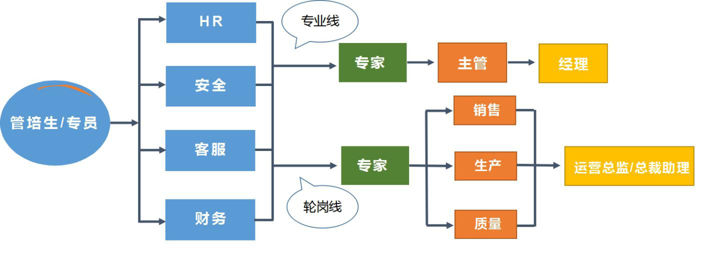 3.行政體系.png