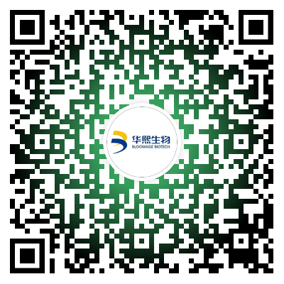 網(wǎng)申.png